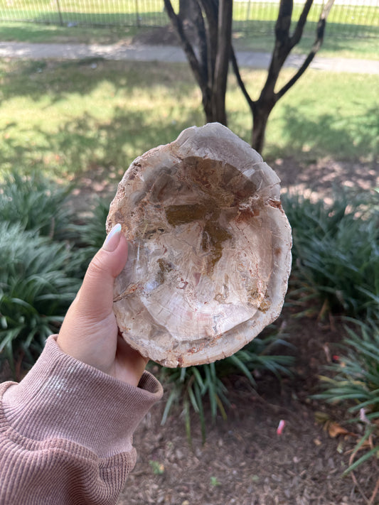 Petrified Wood Bowl