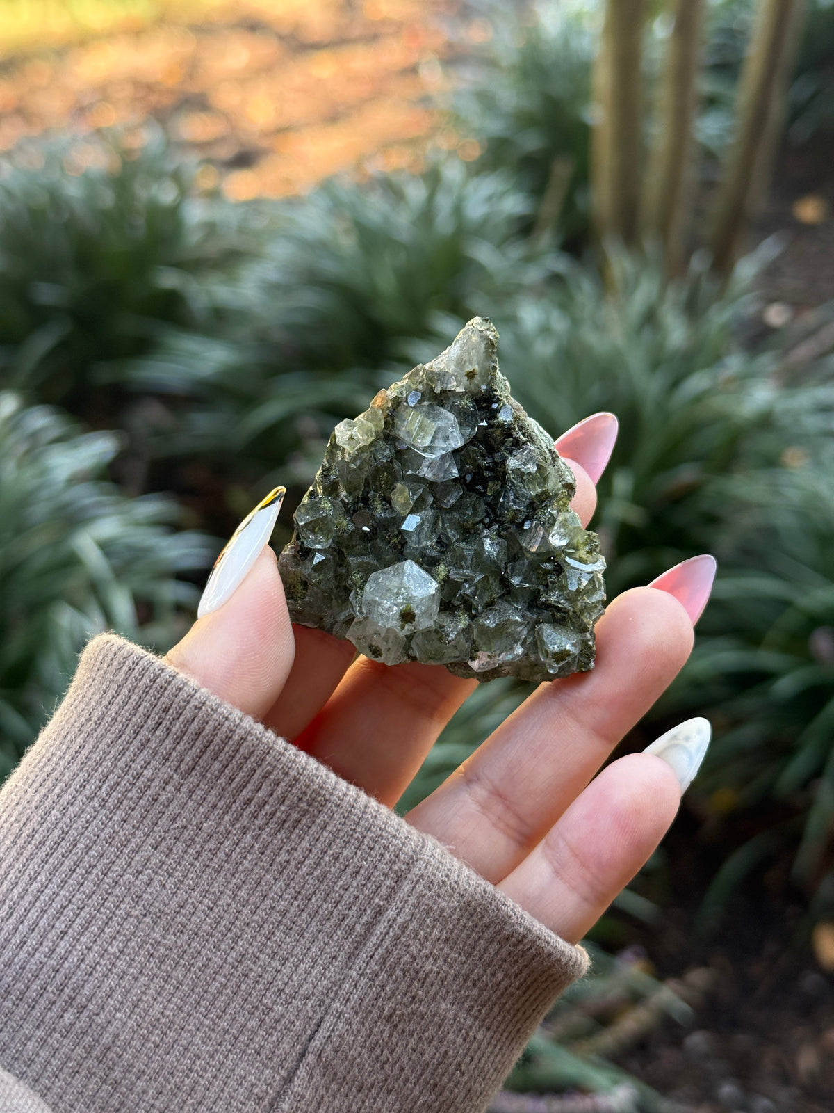 Epidote & Quartz Specimen - Bri’s Collection