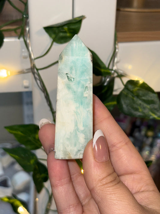 Caribbean Calcite Tower - Lindsey’s Collection