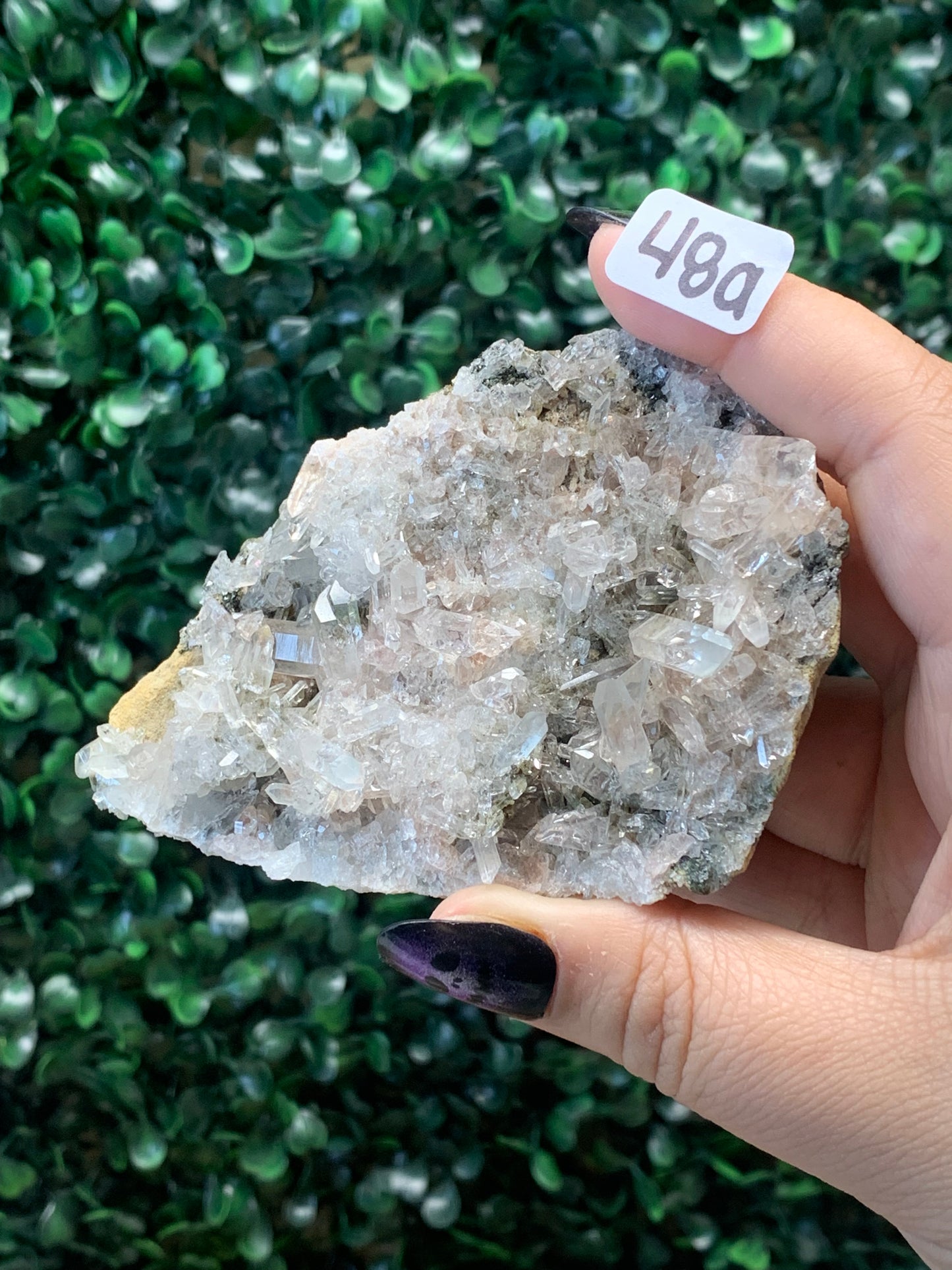 Pink Lemurian Quartz x Chlorite Specimens