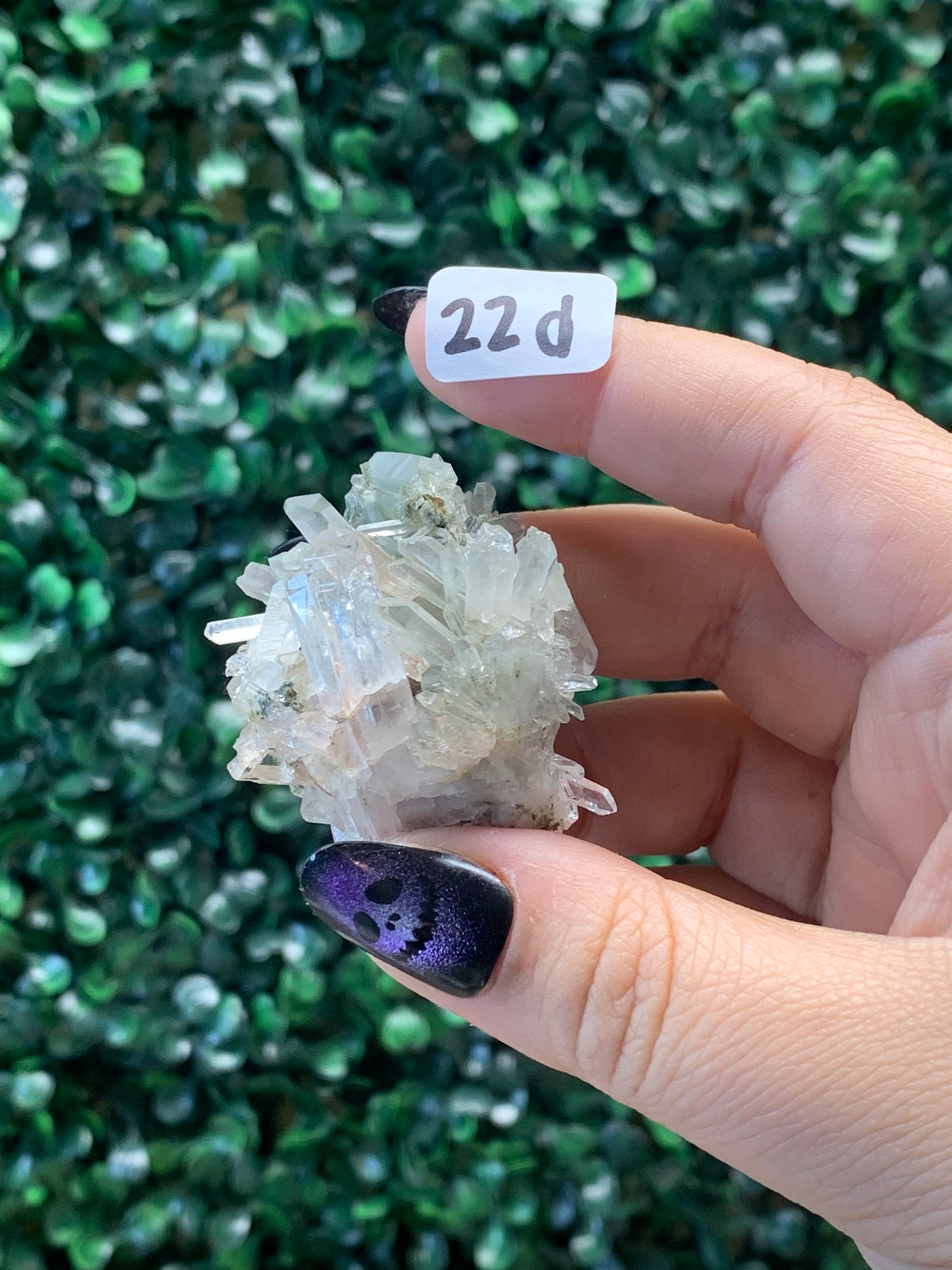 Pink Lemurian Quartz x Chlorite Specimens