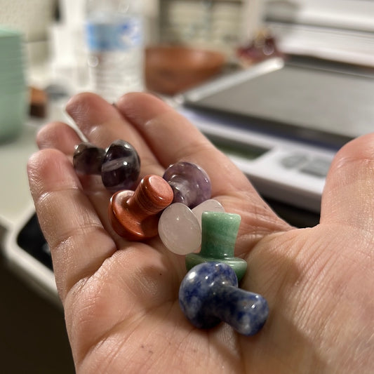 Mystery Mini Mushrooms