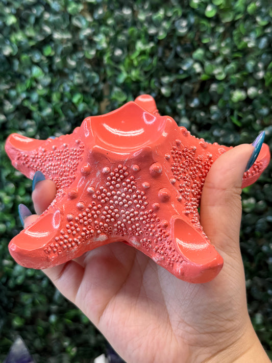 Starfish Sphere Holder