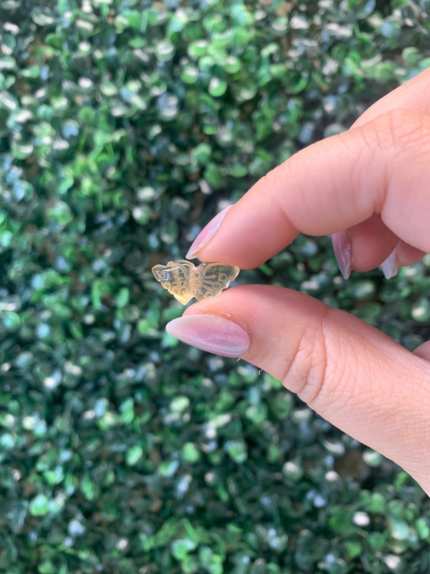Mini Citrine Butterflies (INTUITIVELY CHOSEN)