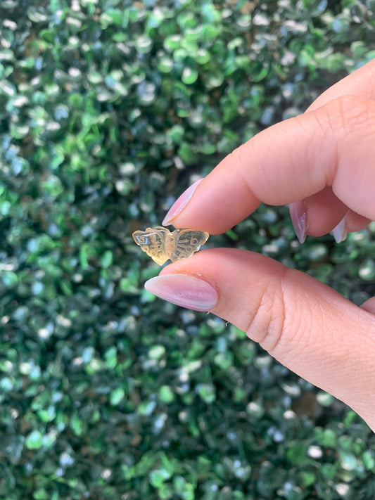 Mini Citrine Butterflies (INTUITIVELY CHOSEN)