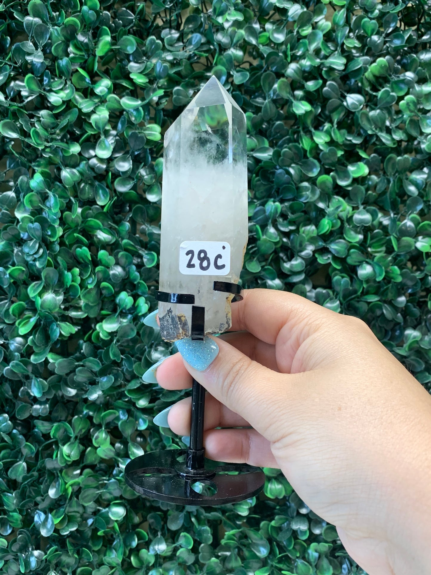 Clear Quartz Points on Stand - Chipped Tips