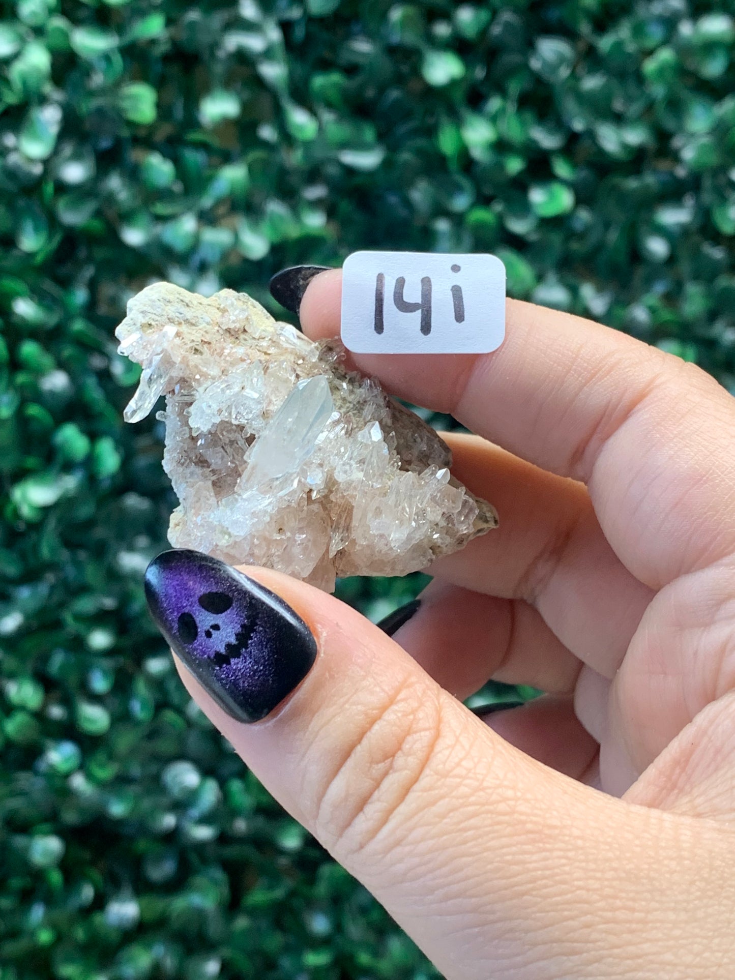 Pink Lemurian Quartz x Chlorite Specimens