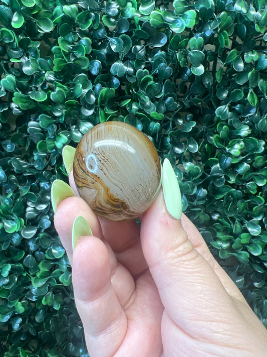 Sardonyx Palm