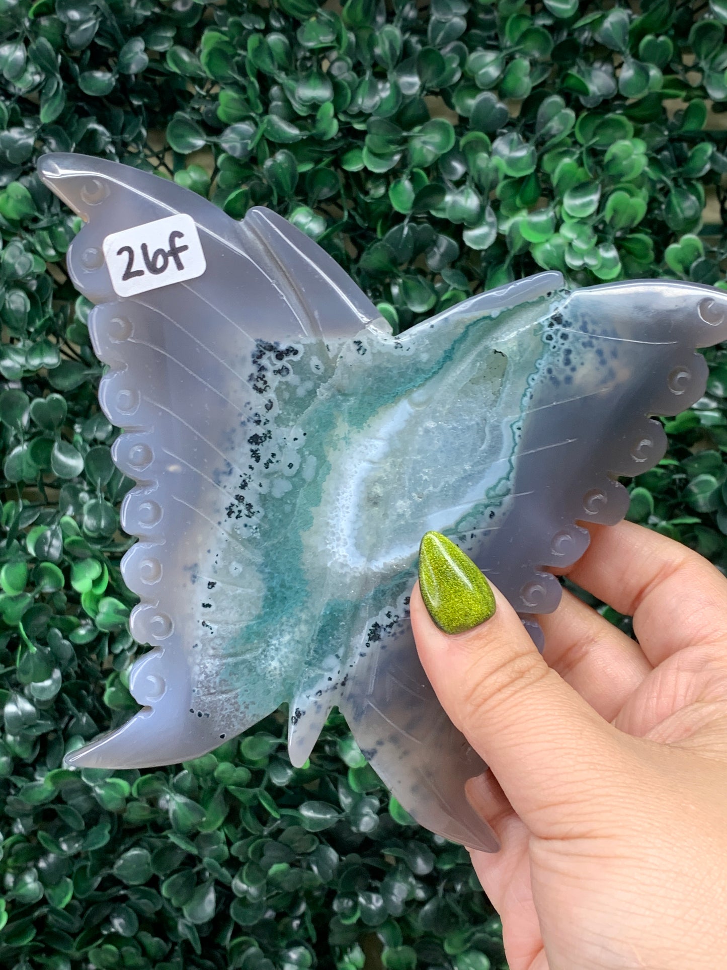 Druzy Agate Butterflies - COMES WITH STAND