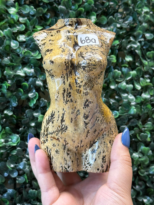 Picture Jasper Lady Bodies