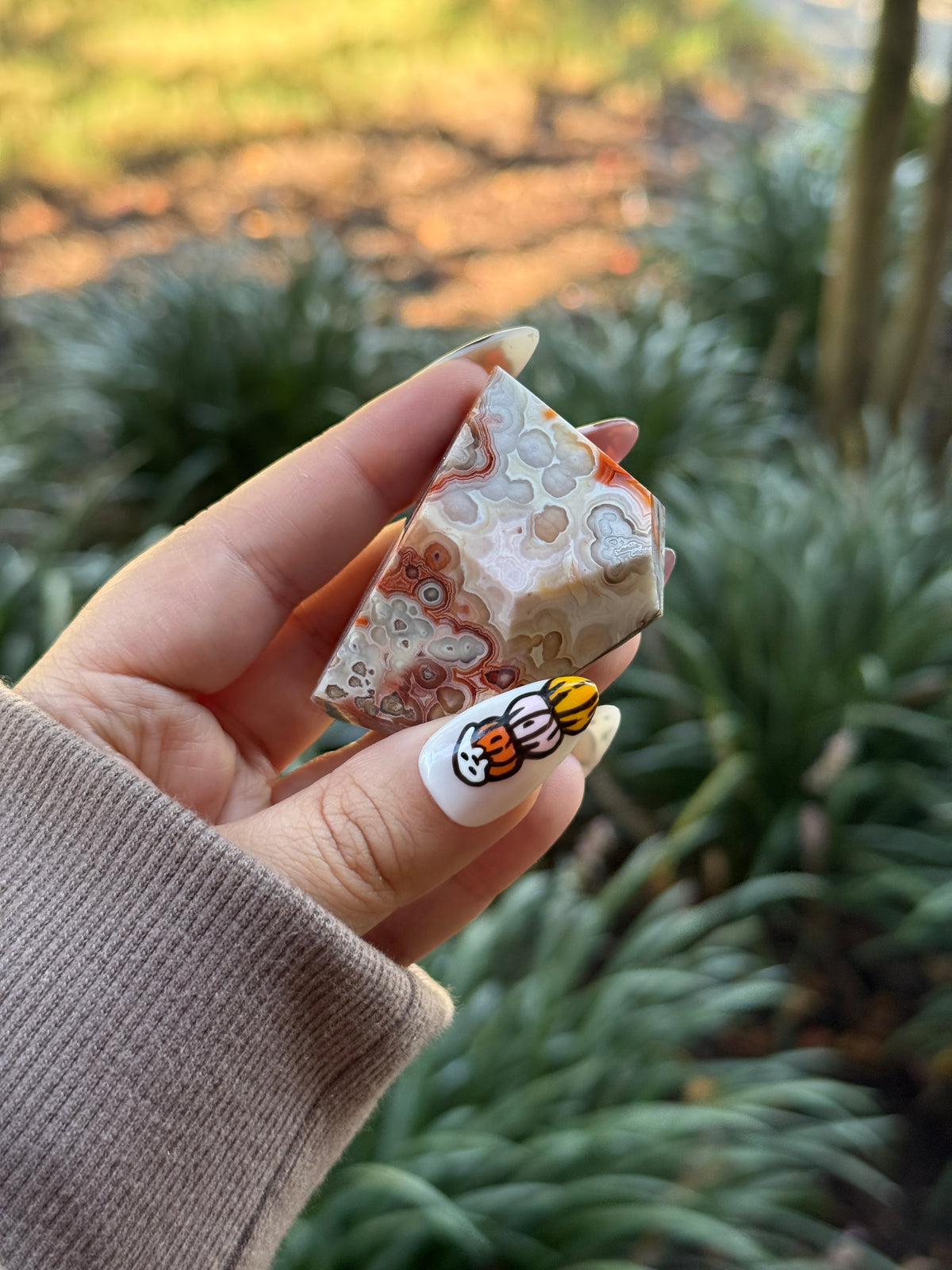 Mexican Crazy Lace Agate Freeform - Bri’s Collection