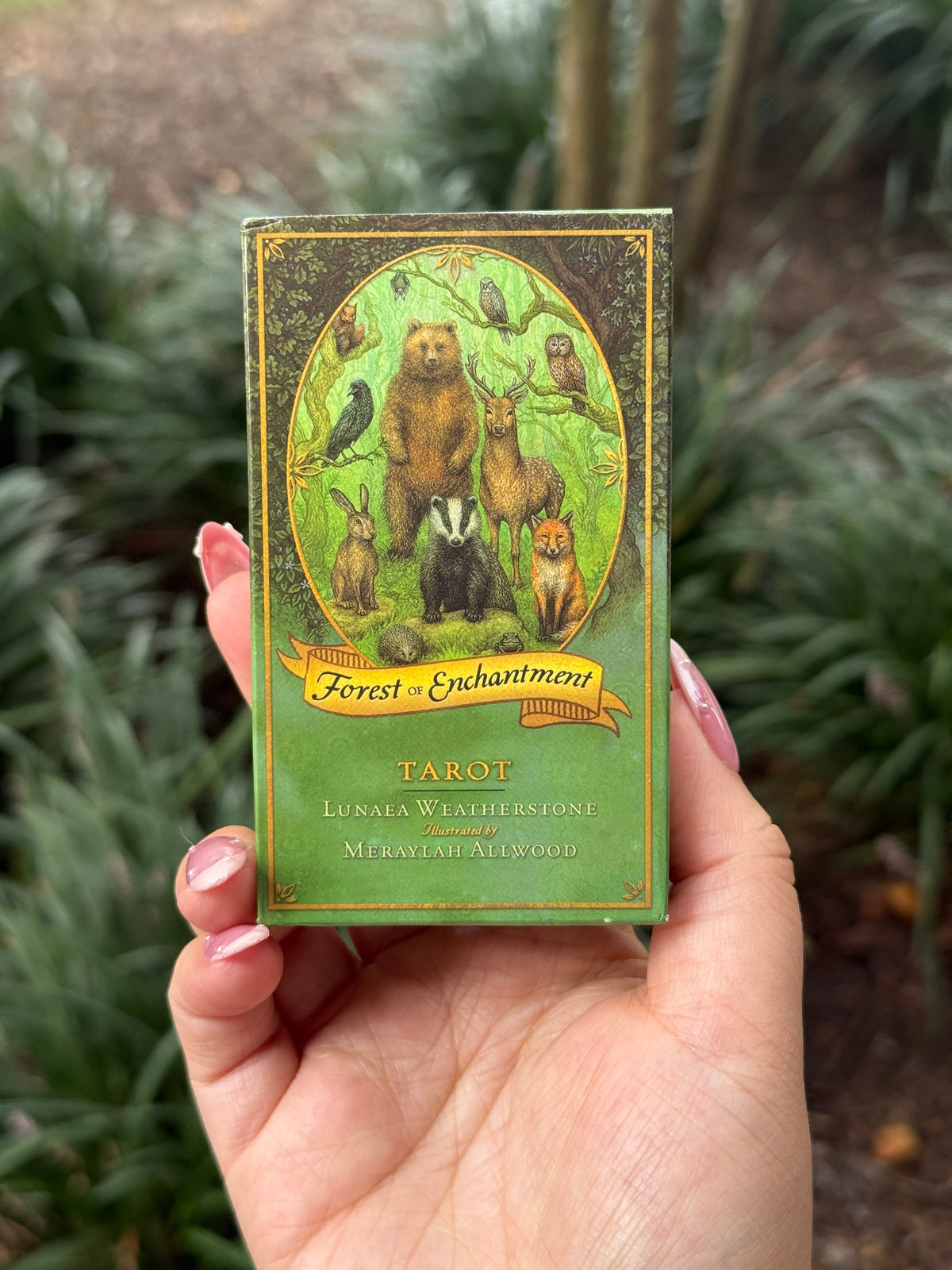Tarot Decks