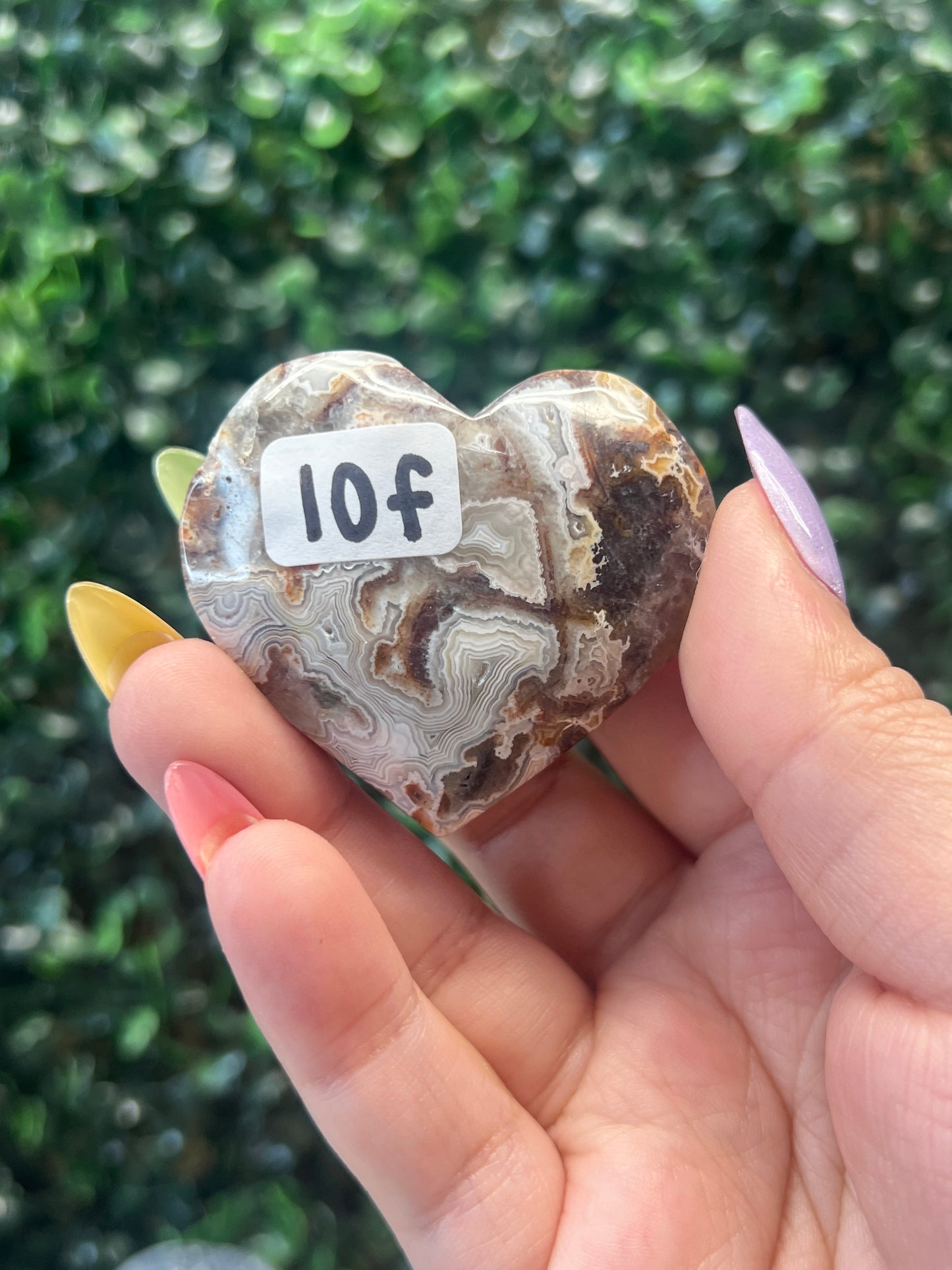 Mexican Crazy Lace Agate Hearts (have parallax)
