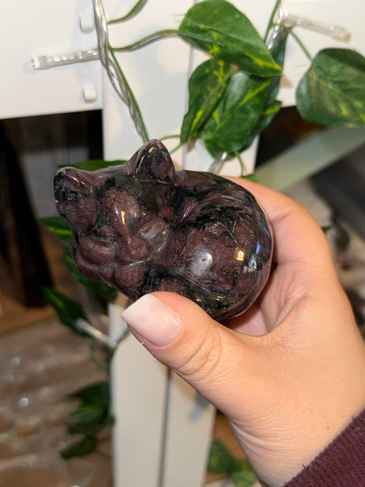 Garnet Sleeping Kitties (Intuitively Chosen)