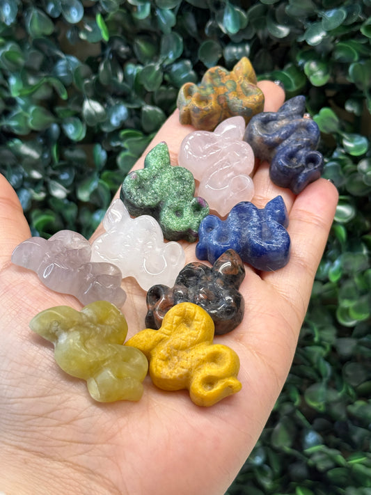 Mixed Snakes (Intuitively Chosen)