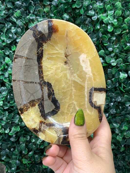 Septarian Bowl