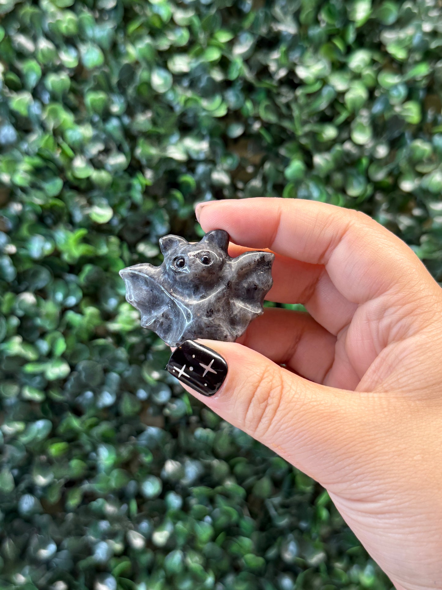 Larvikite & Que Sera Bats