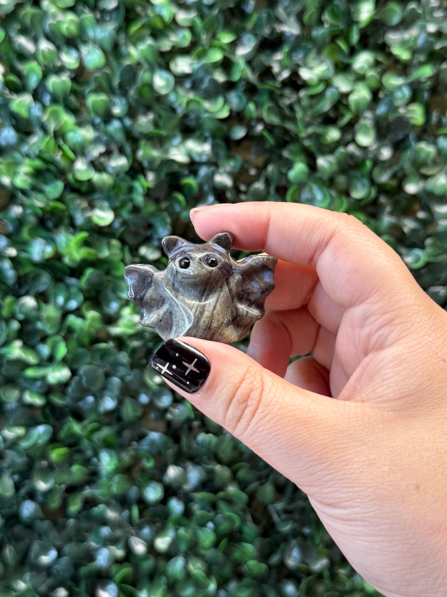 Larvikite & Que Sera Bats