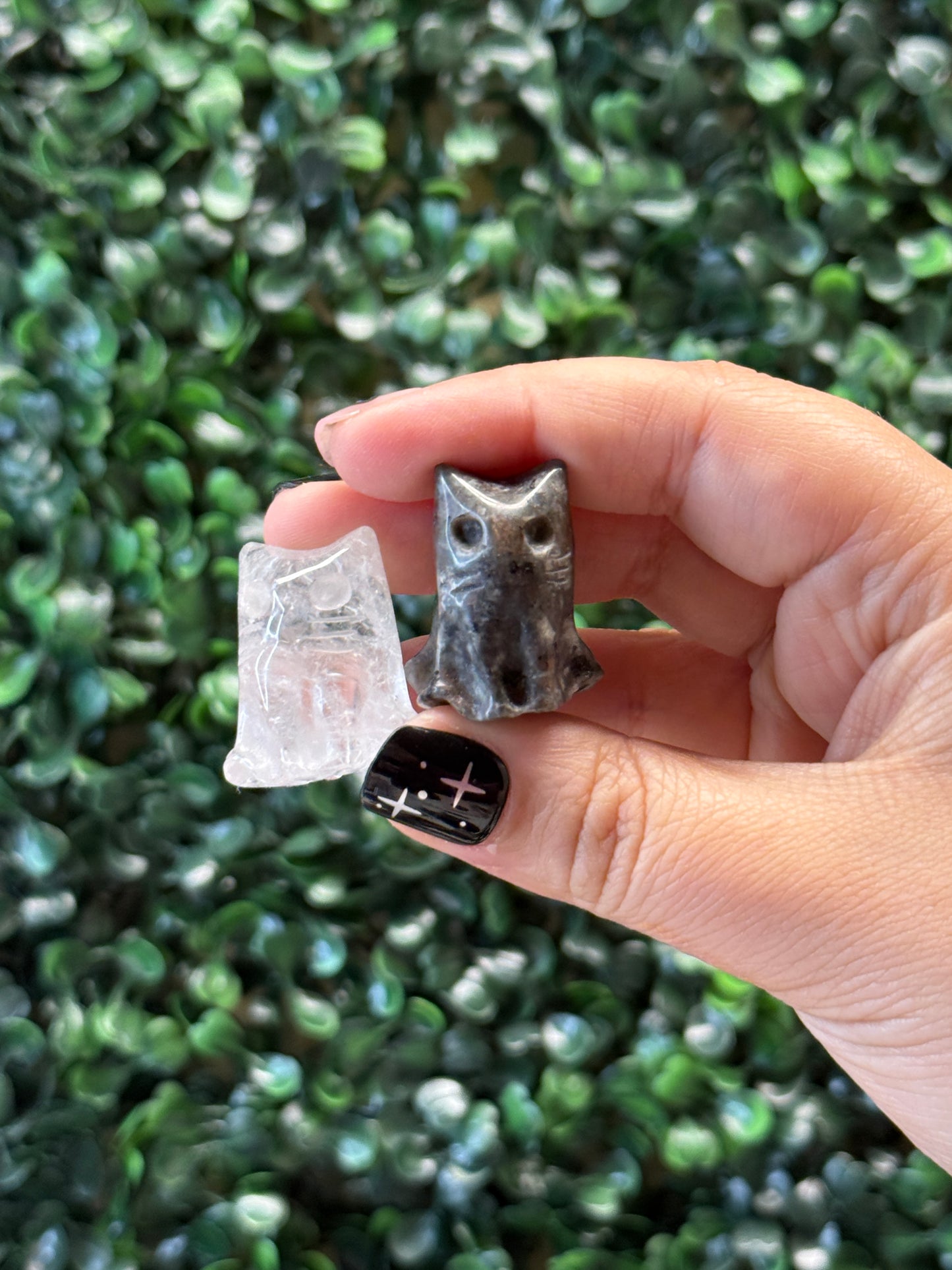 Mixed Ghost Kitties (Intuitively Chosen)