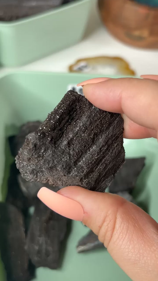 Permineralized Wood - INTUITIVELY CHOSEN (SPARKLY)